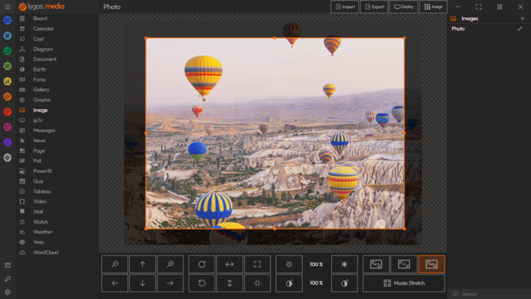 lygos video wall software media module