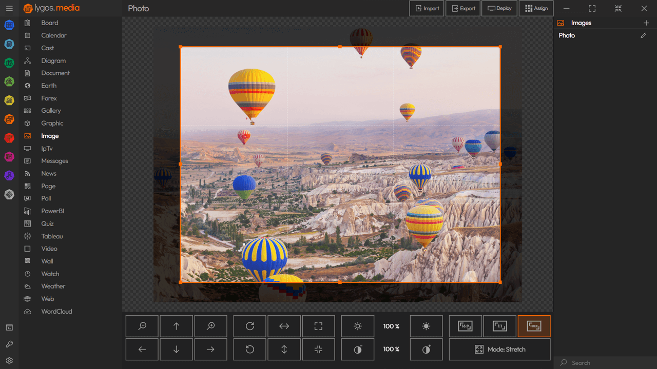 lygos video wall software media module